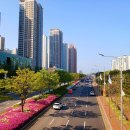 국제대로 이미지