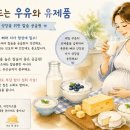 연성수산 | 임신 초기에 먹으면 좋은 음식 7가지. 아기와 엄마의 건강한 첫 만남을 위한 식단 이야기