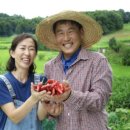 따순농장 네이버블로그