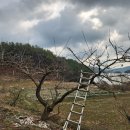 대붕농장 이미지