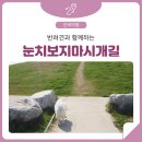 전북펫