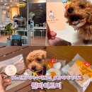 원바이트미 이미지