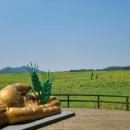 심원농장 이미지