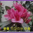 기다리는 마음 이미지