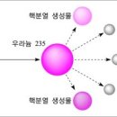 대신자연에너지 이미지