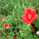 청풍한옥민박 이미지