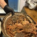 이군달구포차 이미지