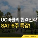아이비리그입시학원 | UC 버클리 합격 전략! 아이비리그 출신 SAT 6주 특강!