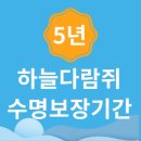 Dr.Mini 하늘다람쥐 전문병원 이미지