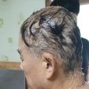 백이산온천 펜션 이미지