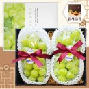 브라더샤인 이미지