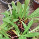 호범농장 이미지