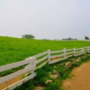 상상목장 이미지