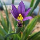 매화목장 이미지