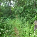 돌고개로 | [2020년] 금산 금성산 술래길(2) - 여름에 걸어도 좋은 숲길