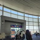 배짱이 엔터테인먼트 | 인천 이스탄불 대한항공 KE955 후기, 이스탄불공항 입국