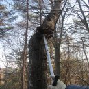 회원동126 이미지