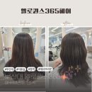엘로헤어 - 용인시 기흥구 | 부산대 가성비 미용실 엘로퀀스365헤어 애쉬브라운 염색후기
