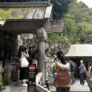 인형의 거리(뱀) 이미지