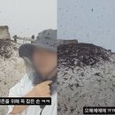 등산객 온몸에 새까맣게…러브버그 습격에 북한산도 초토화 이미지