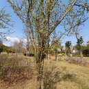 진달래어린이공원 화장실 이미지