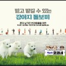 상신리코코네 이미지