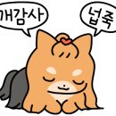 씨유송정점 네이버블로그