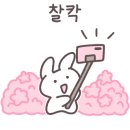 유앤미공인중개사사무소 이미지