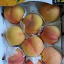 참새골농장 이미지