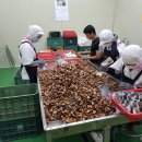 남해군흑마늘 주식회사 남해공장