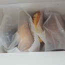 찍찍뽑뽑 이미지