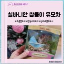 베이비캐슬어린이집 | 실바니안 패밀리 초콜릿 토끼 쌍둥이 유모차(5432)