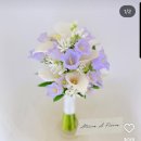 라메종베니 | W15-1. 야외 웨딩스냅 촬영 후기_①준비과정