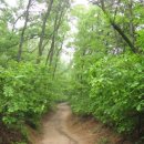 산속의 아침 이미지