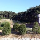 이상형묘비 이미지