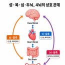 [Episode 03] 잠들어 있는 4뇌의 발견 이미지