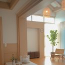 퐁낭그늘 이미지