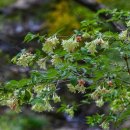 청계산 등산로 이미지