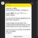 리얼피자 이미지