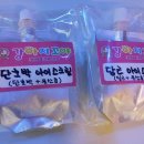 강아지 꼬야 이미지