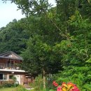 양평 민하우스 펜션 이미지