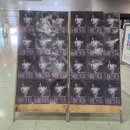 일산 | 2025-26 박서진 전국 콘서트 일산 + 킨텍스 후기요~