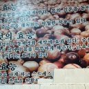 평창도토리매운칼국수 이미지