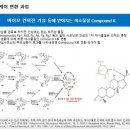 캡틴케어 네이버블로그