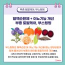 노약사네 이미지