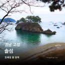장여로 | 경남 고성 솔섬 둘레길 진달래꽃 주차 4계절 꽃피는 섬