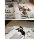 멍팔자 상팔자 이미지