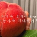 복자네복숭아