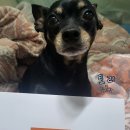 (주)바로벳 이미지