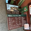 제주목관아-3 | 제주공항 근처 봄꽃 매화 관덕정 제주목관아 무료 입장 꿀팁 나우다 포토존